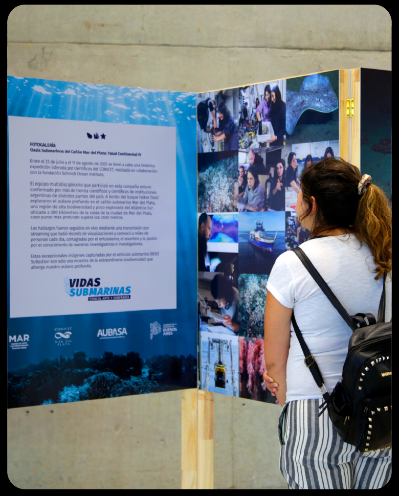 PLANTILLA WEB MASIVA GRILLA VIDAS SUMARINAS_MUSEO MAR-02