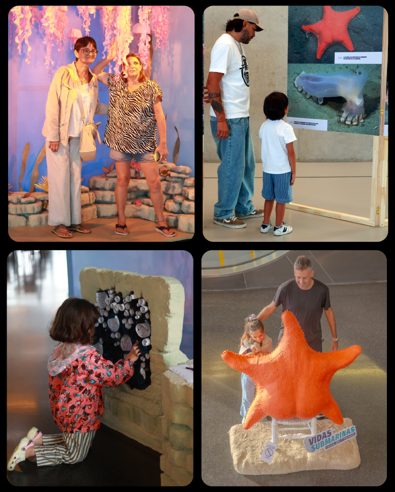 PLANTILLA WEB MASIVA GRILLA VIDAS SUMARINAS_MUSEO MAR-04